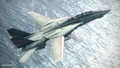 An Emmerian F-14D over water