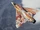 Mirage 2000-5 -YAYOI-