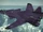 Su-47 -VIOLET WING-