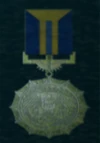 AC5 Gold Wing Medal