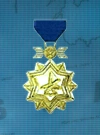 AC3D Medal 19 Gold Ace