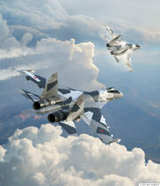 2 Su-35S of the ARAF's 209th TFS