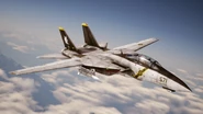 Hitmen Squadron's F/D-14