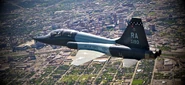 Skin 01 Flyby