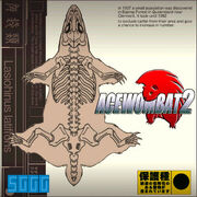 Ace Wombat 2