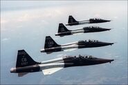 Formation of Osean T-38s