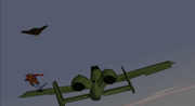 Ace wombat combat