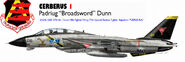 Broadsword's F-14A used during carrier operations