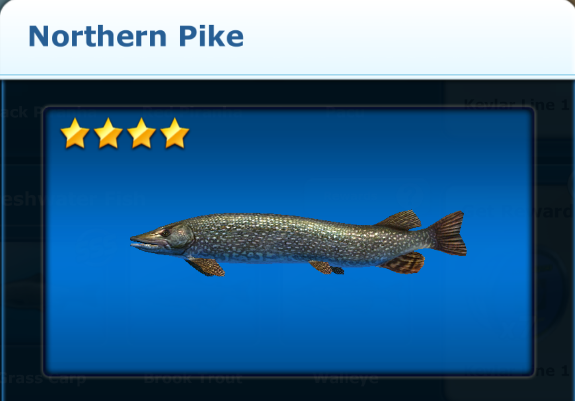 Northern Pike | Ace Fishing Wiki | Fandom