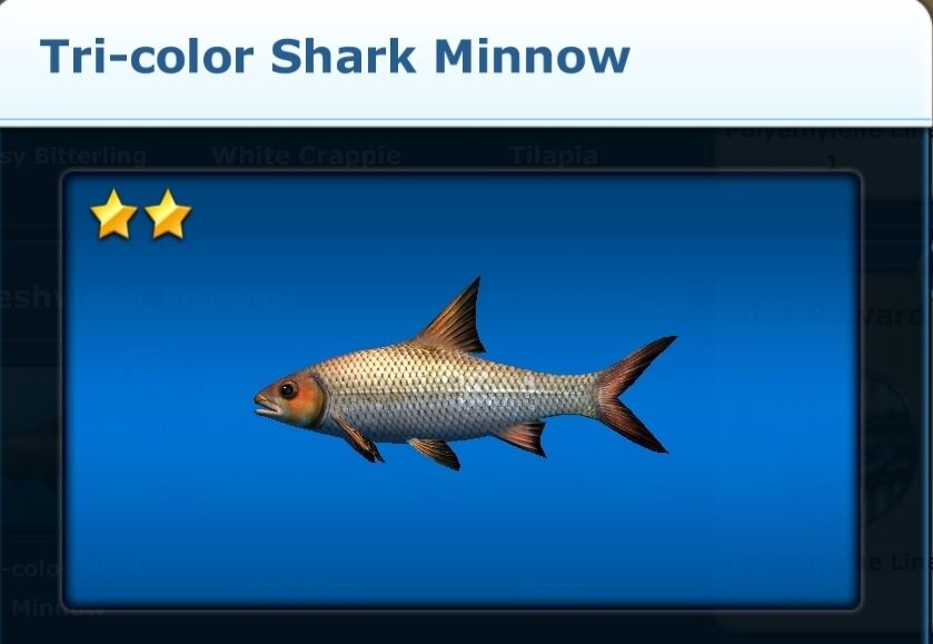 Tri-color Shark Minnow, Ace Fishing Wiki