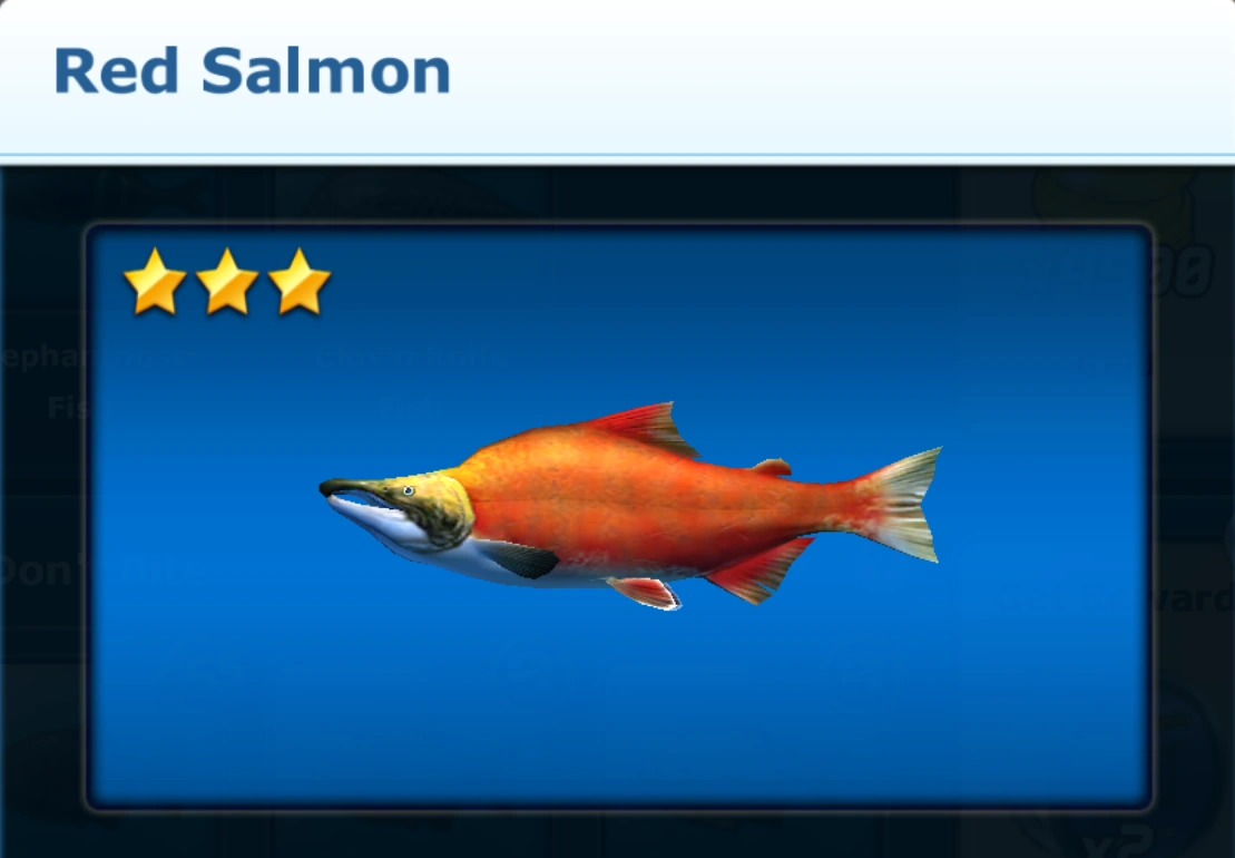 Red Salmon Ace Fishing Wiki Fandom