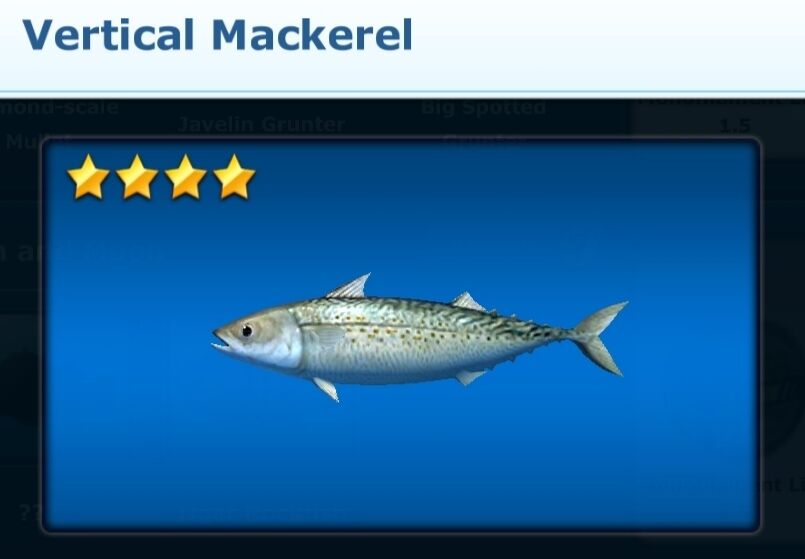 Going vertical for mackerel