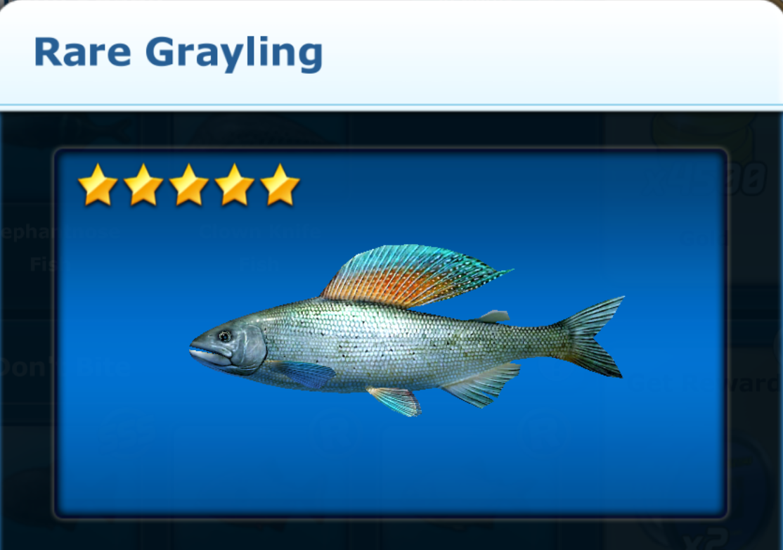 Grayling, Fishing World Wiki