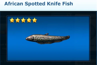 Accessory | Ace Fishing Wiki | Fandom