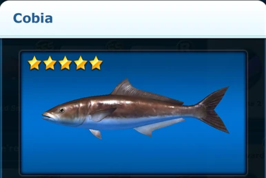 Wild fish | Ace Fishing Wiki | Fandom