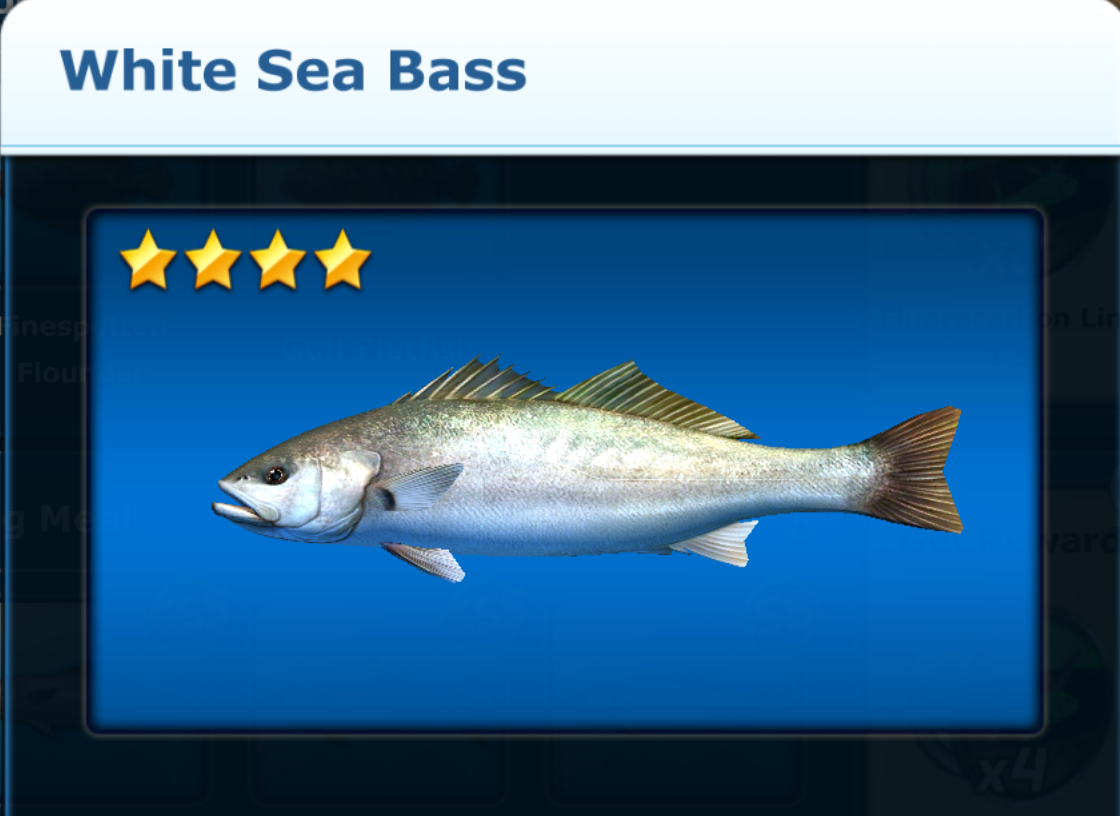 White Sea Bass, Ace Fishing Wiki