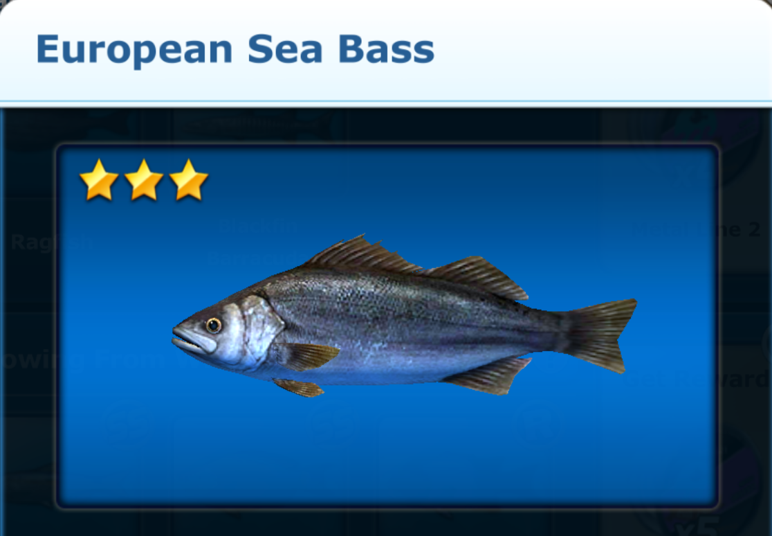 European Sea Bass Ace Fishing Wiki Fandom