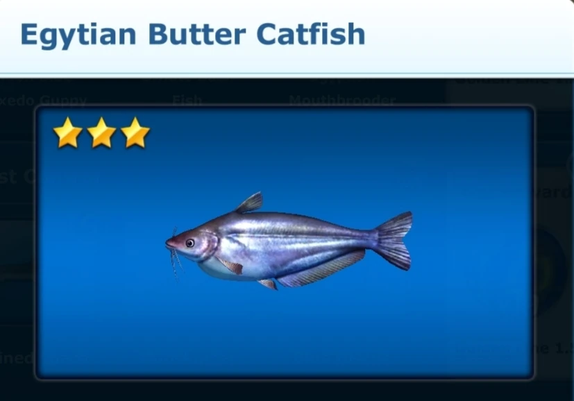 Egyptian Butter Catfish Ace Fishing Wiki Fandom