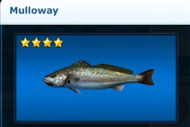 Titanichythys, Ace Fishing Wiki