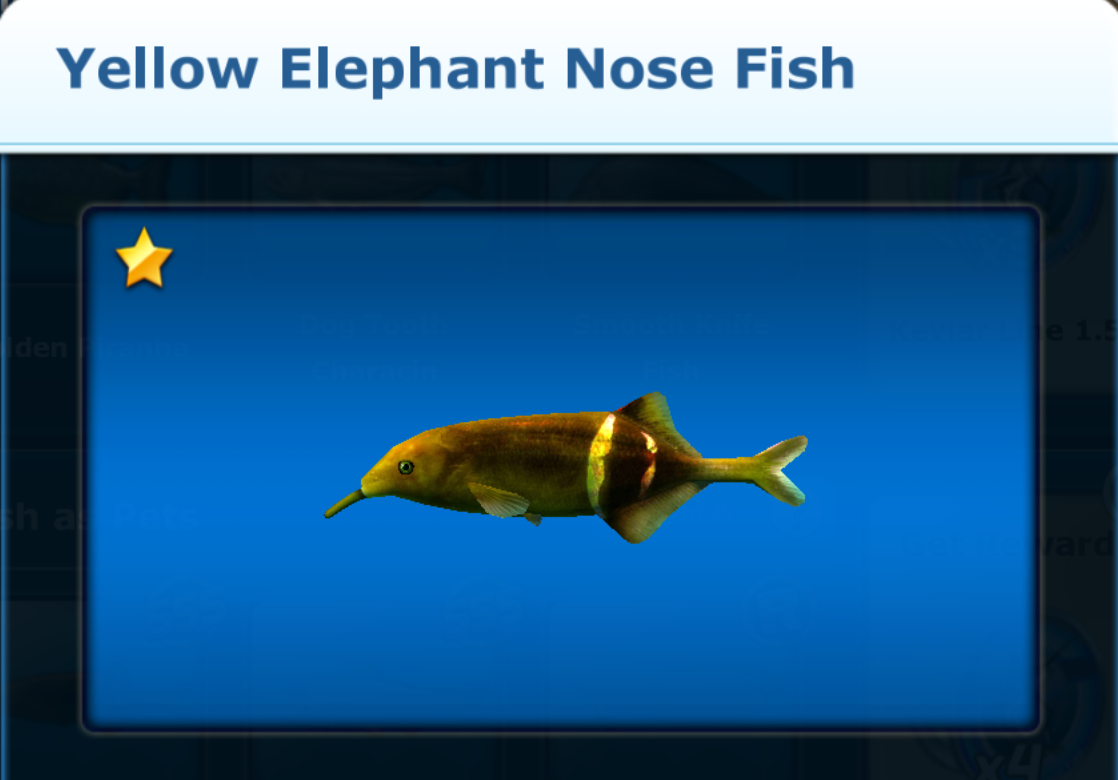 Yellow Elephant Nose Fish | Ace Fishing Wiki | Fandom