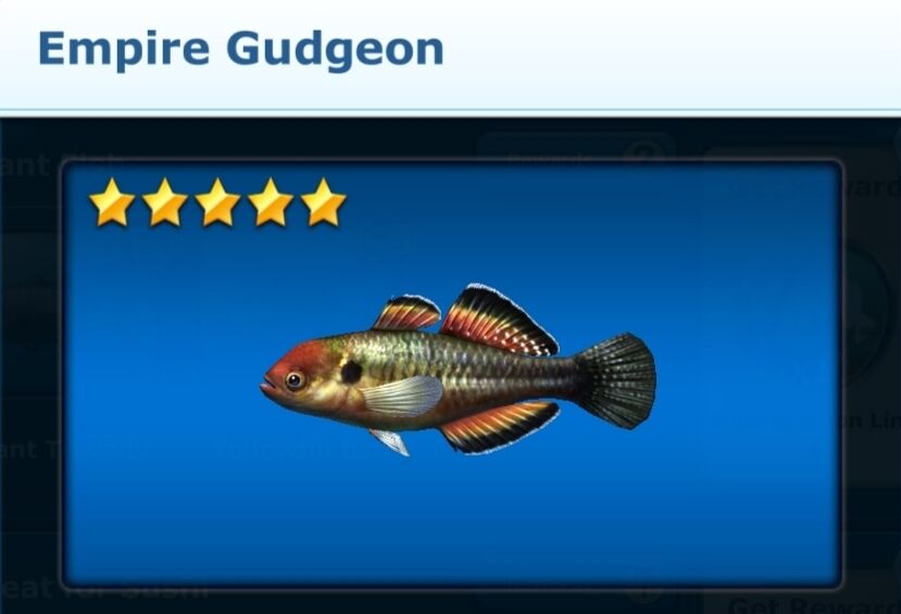 Empire Gudgeon, Ace Fishing Wiki
