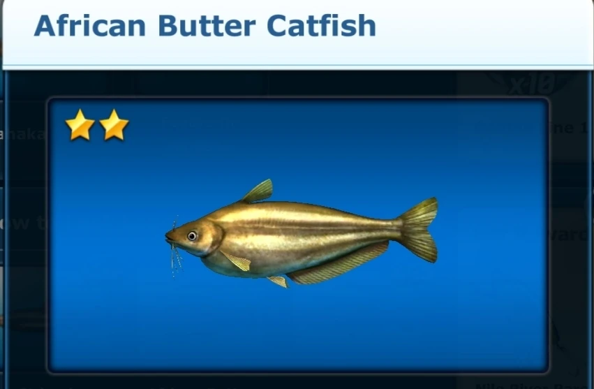 African Butter Catfish Ace Fishing Wiki Fandom