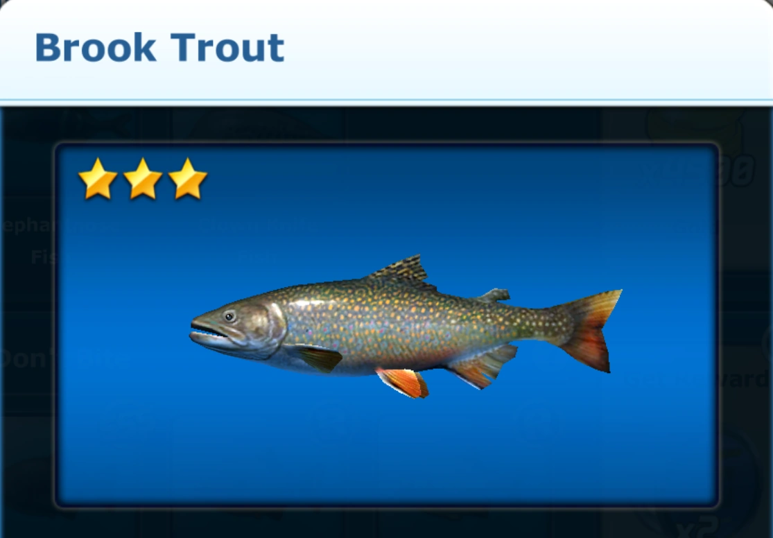 Brook Trout | Ace Fishing Wiki | Fandom Brook Trout | Ace Fishing Wiki | Fandom