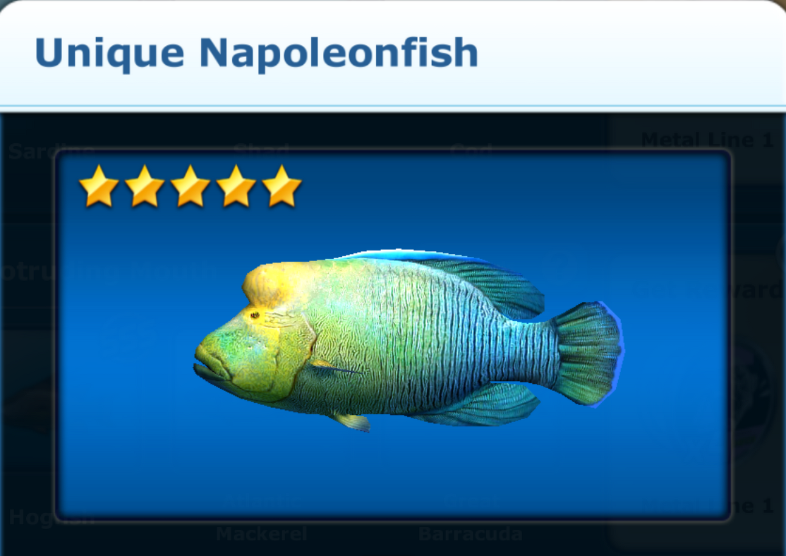 Unique Napoleonfish | Ace Fishing Wiki | Fandom
