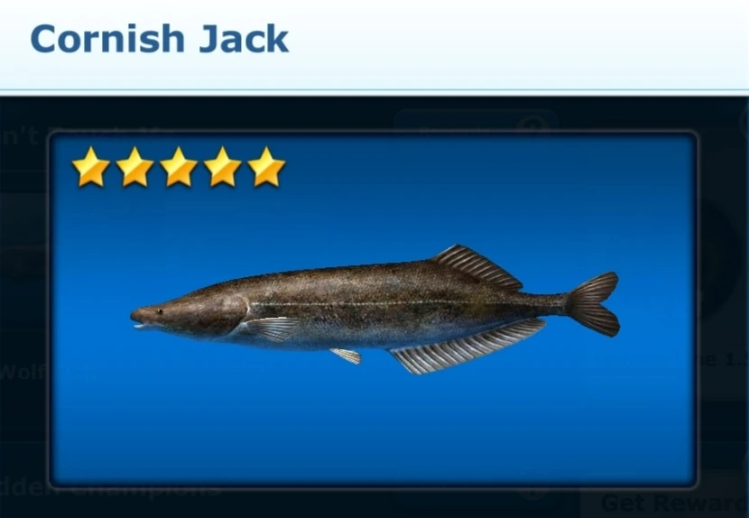 Cornish Jack Ace Fishing Wiki Fandom