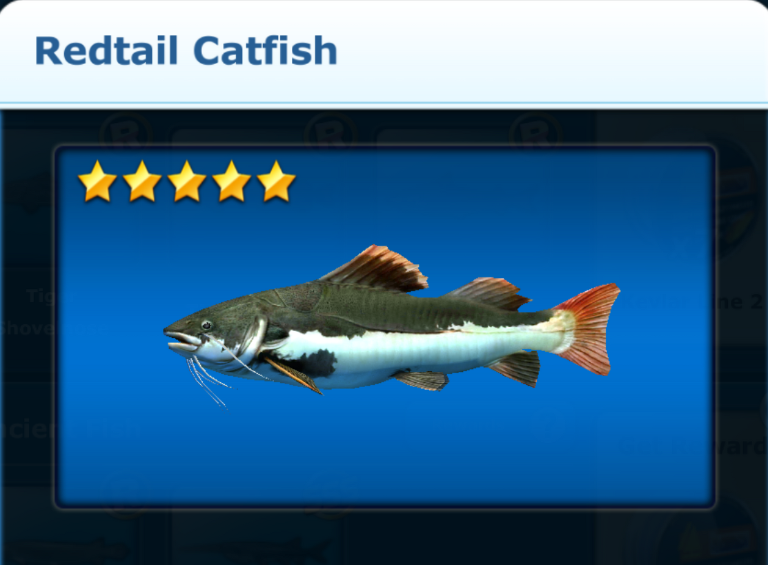 Redtail Catfish, Ace Fishing Wiki