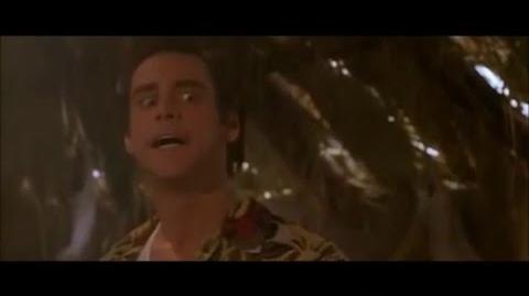The very best funny scenes from Ace ventura
