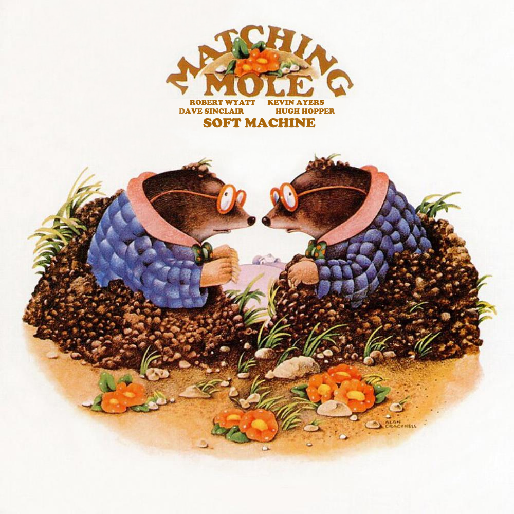 Matching Mole | A Crazy Gift of Time Wiki | Fandom