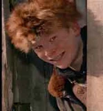 Scotty Farkus