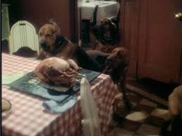 The Bumpus Hounds A Christmas Story Wiki Fandom
