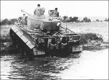 Tiger1-crossing-river