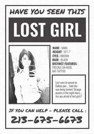 Nikki missing poster.jpg