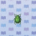 Fruit Beetle.jpg