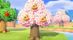 Moneytree.png