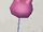 Bunny pink balloon.jpg