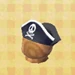 Pirate's Hat.jpg