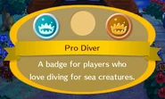 Pro Diver.jpg (29 KB)
