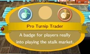 Pro Turnip Trader.jpg (30 KB)