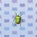 Stinkbug