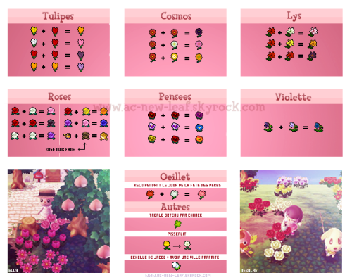 Acnl Flower Hybrids Guide