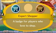 Expert Shopper.jpg (30 KB)
