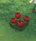 Red tulips