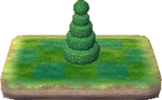 Round Topiary