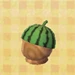 Watermelon Hat.jpg