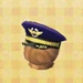Pilot's Hat.jpg