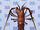 Spiny Lobster.jpg
